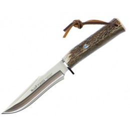 Muela Pointer 13A
