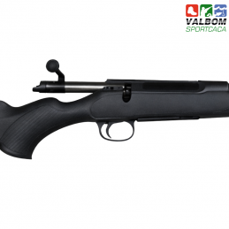 Sauer S100 Classic XT 270WSM