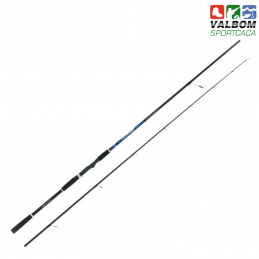 Cana Vega KURODA SPINTECH...