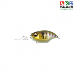 Wiggle Griffon - GG Bass