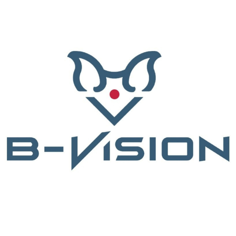 B-Vision