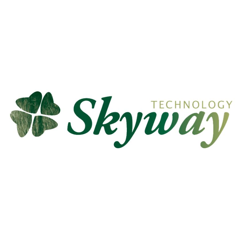 Skyway