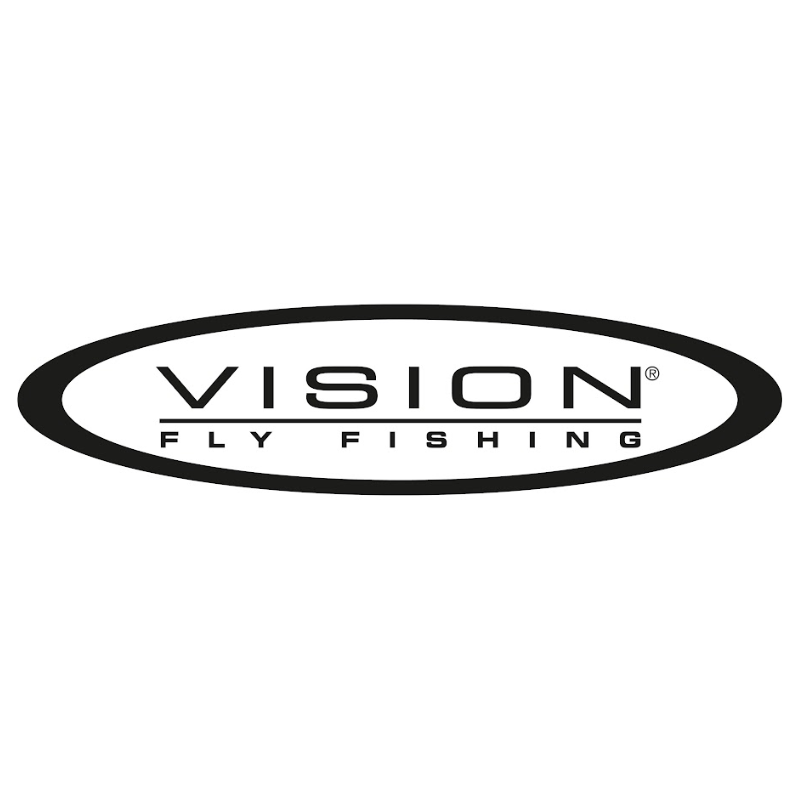 Vision