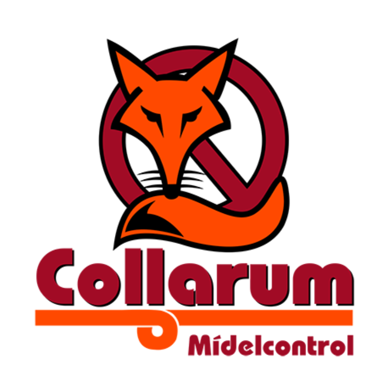 Collarum